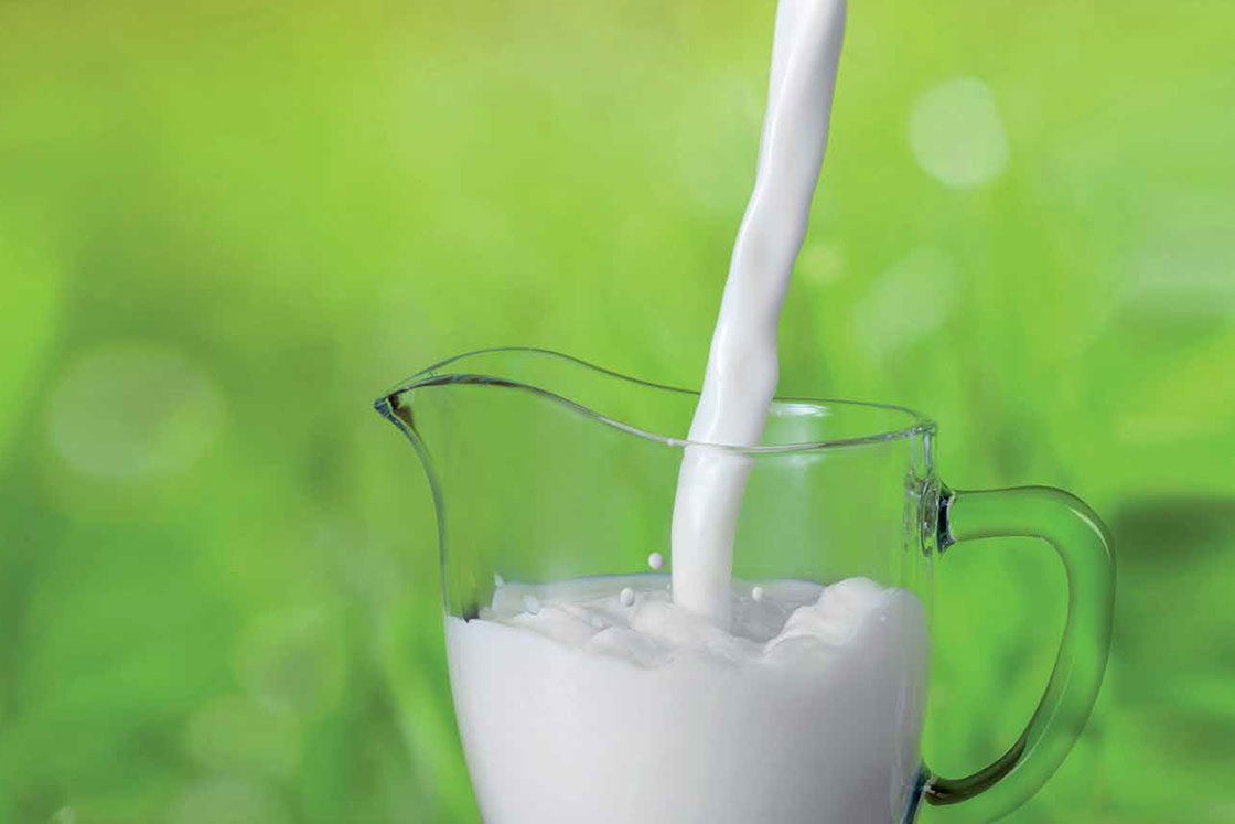 آشنایی با خواص شیر و نکاتی درباره مصرف لبنیات