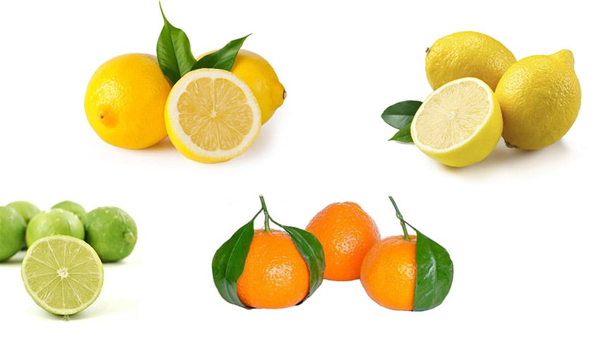 خواص پرتقال نارنگی لیمو ترش و لیمو شیرین